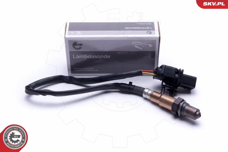 Oxygen Sensor